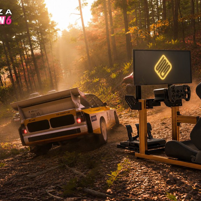 Forza Horizon 6 off-road and rally on a wheel: settings and technique